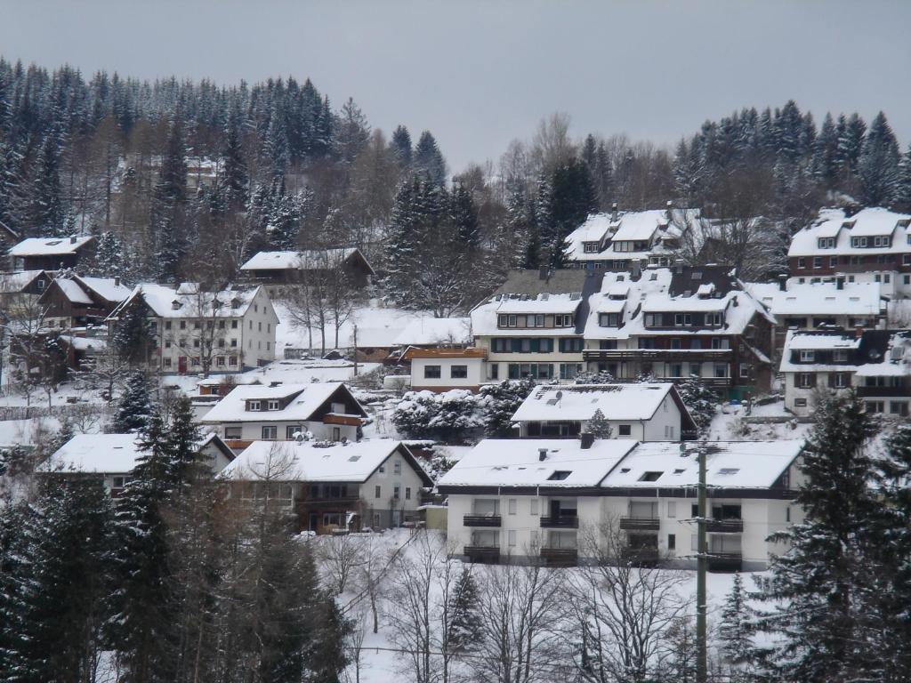 Pension Restaurant Waldblick Feldberg  Exterior photo