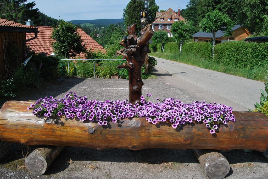Pension Restaurant Waldblick Feldberg  Exterior photo